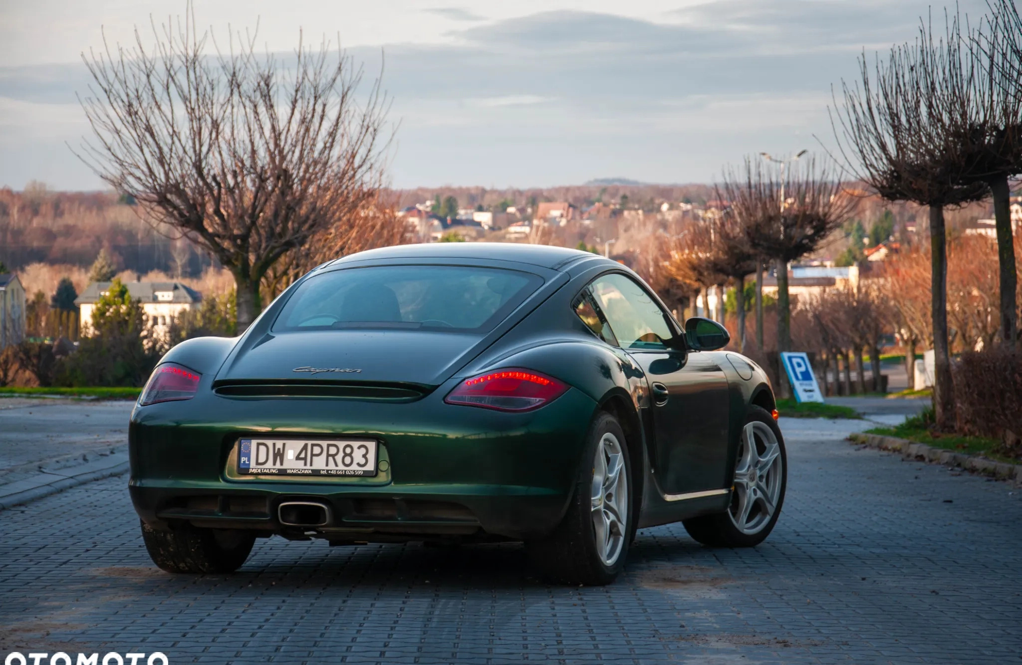 Porsche Cayman cena 165000 przebieg: 116000, rok produkcji 2011 z Częstochowa małe 121